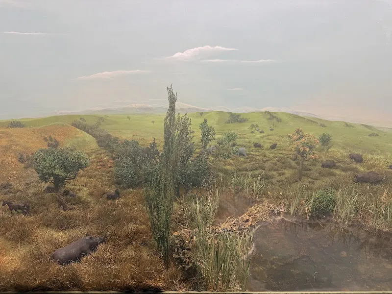 Regionalmuseum Luigi Ghirotti, Riccione