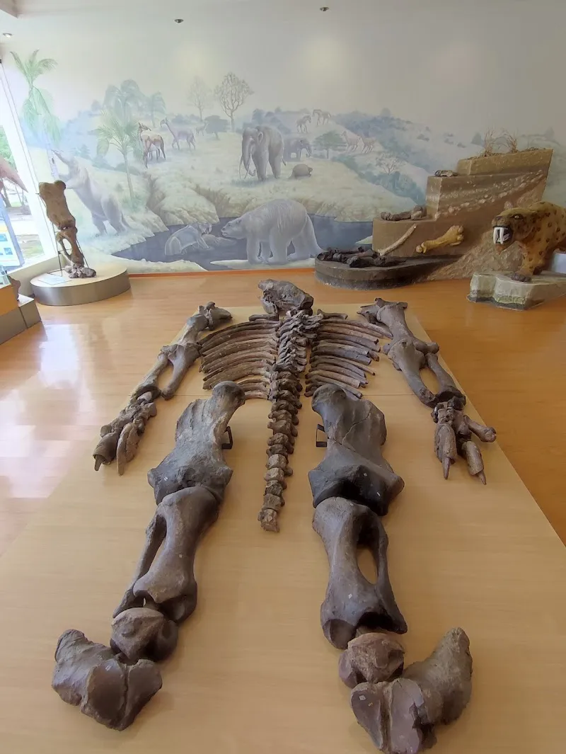 Paleontological Museum Megaterio