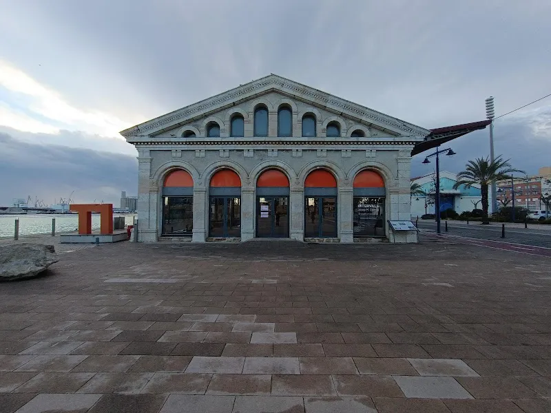 T1 Shed 1