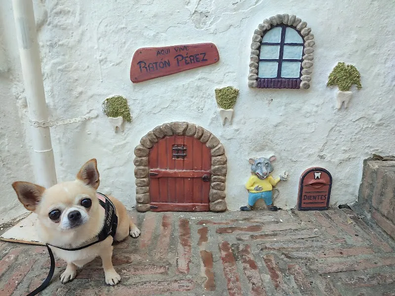 House of the Tooth Fairy