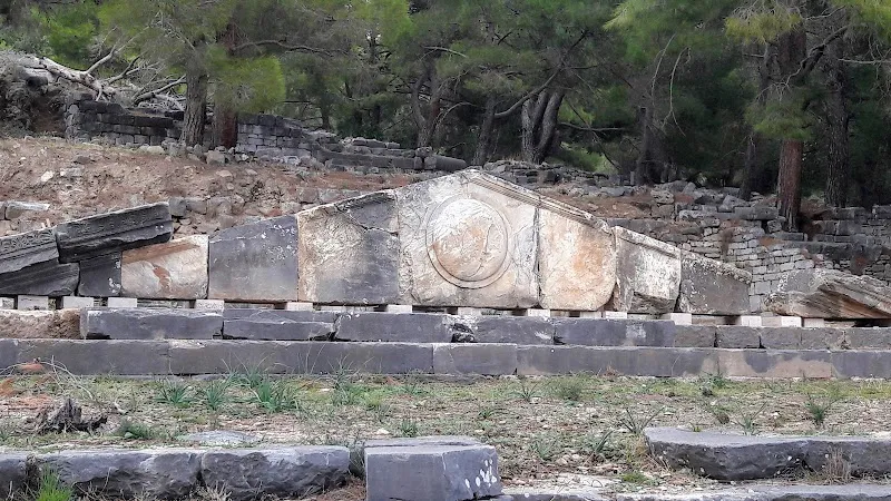 Boueleterion of Priene