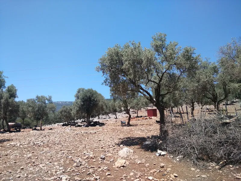 Tarihi su deposu