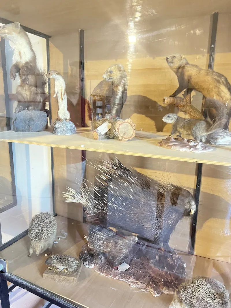 Natural History Museum