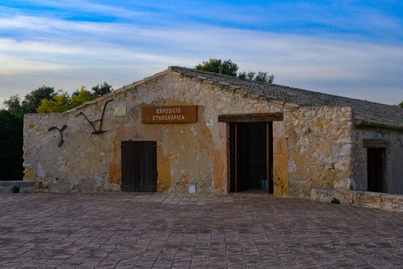 Altafulla Museum