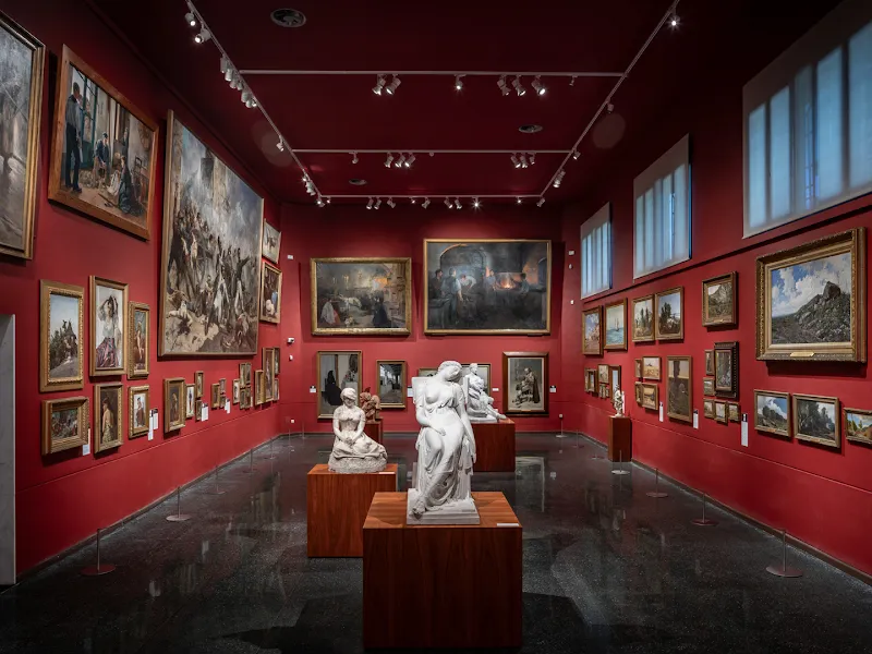Bibliothèque du musée Victor Balaguer