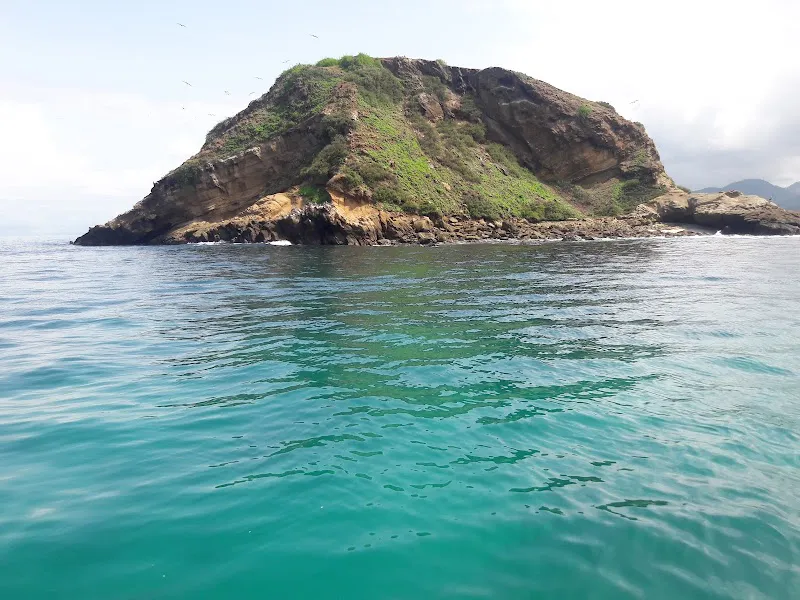 Tour Costero en Bote a 