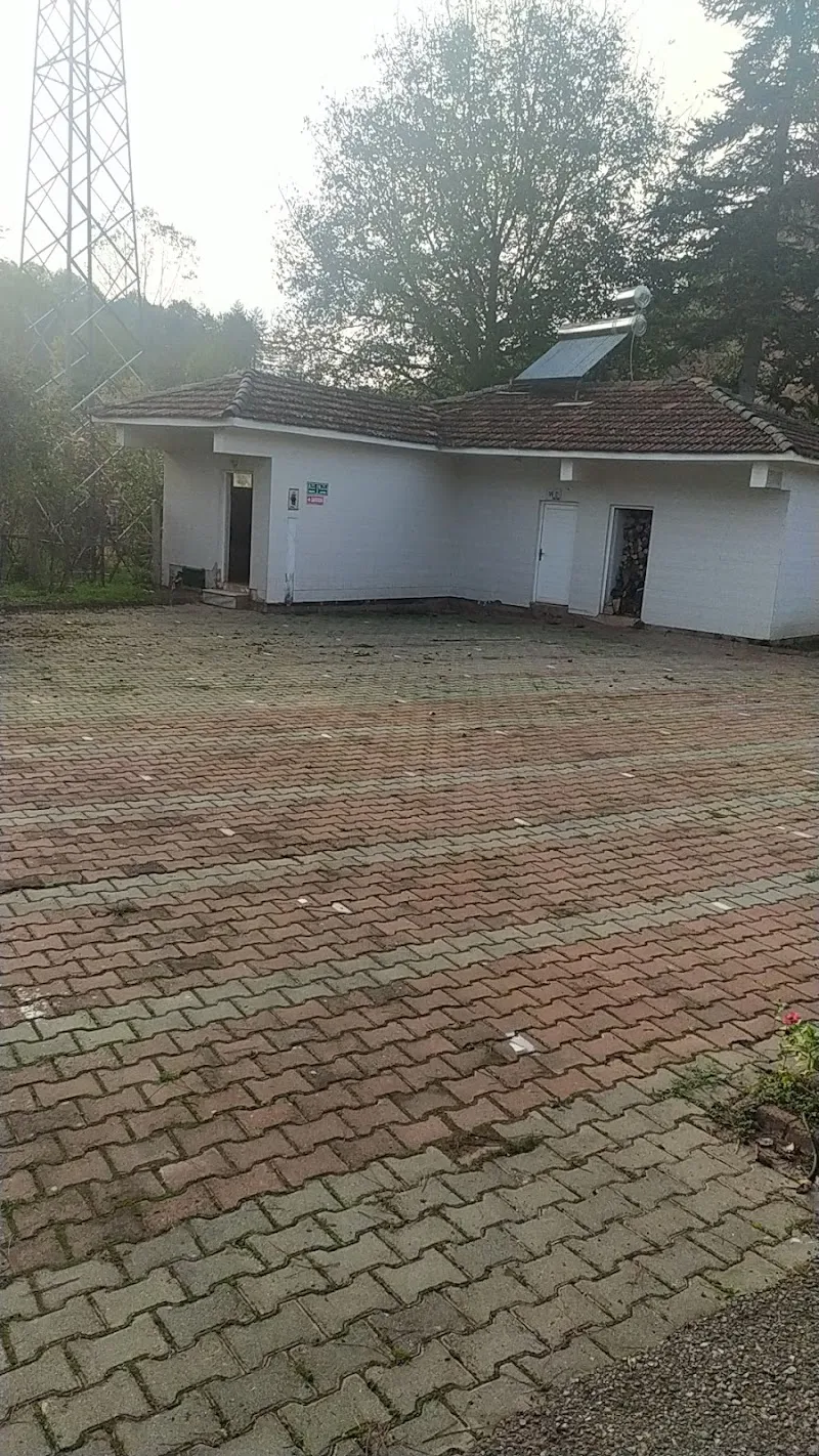 Yukarışeyhler Camii