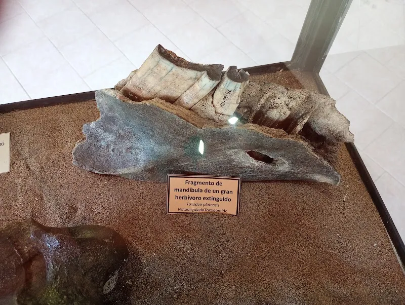 Museo Municipal Carlos Darwin