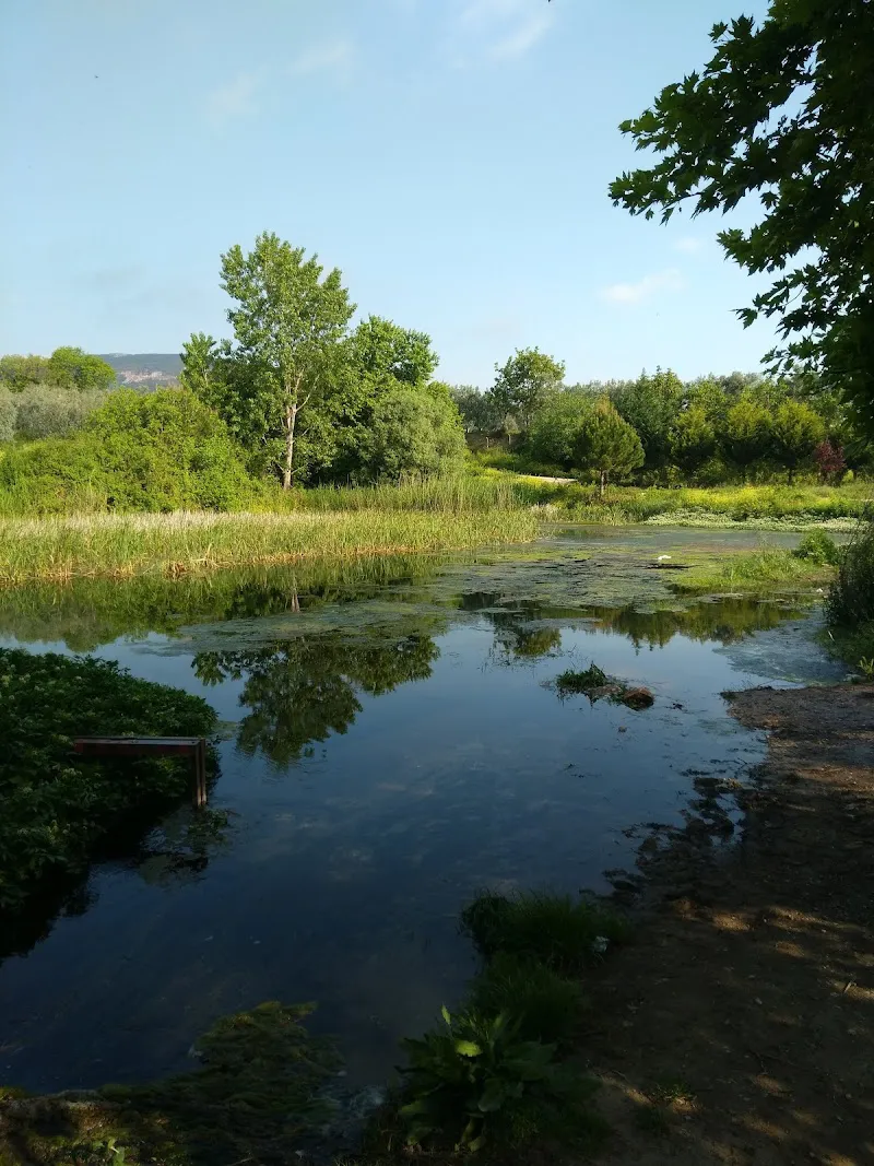 Ilıpınar Höyügü